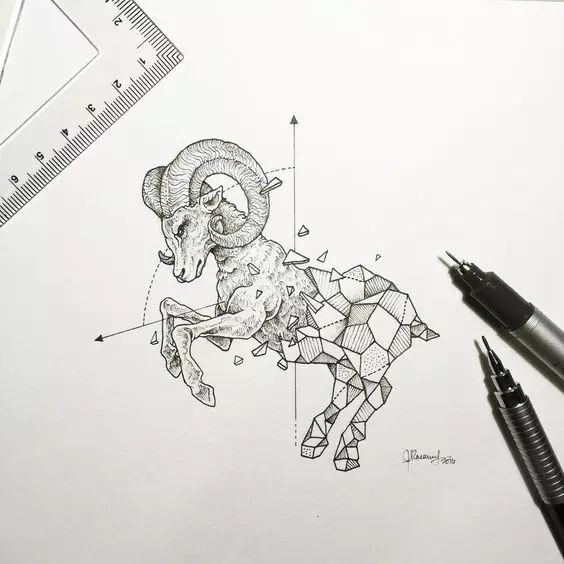 惊叹的动物手绘插画：学霸与艺术的完美融合
