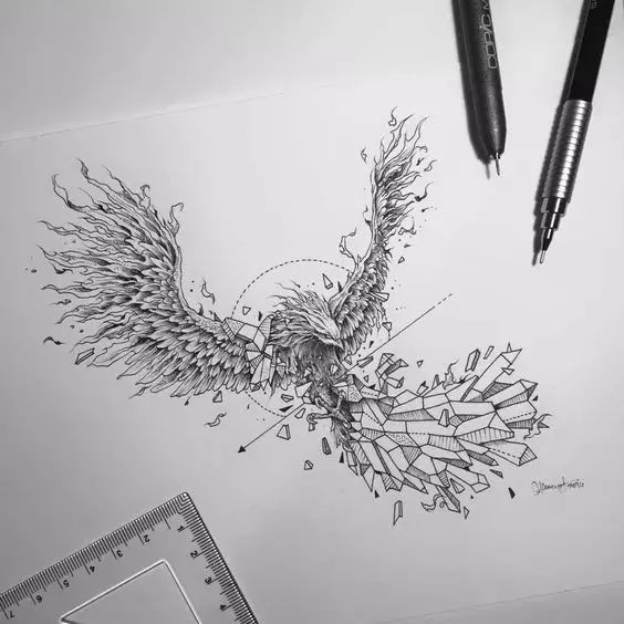 惊叹的动物手绘插画：学霸与艺术的完美融合