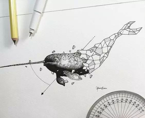惊叹的动物手绘插画：学霸与艺术的完美融合