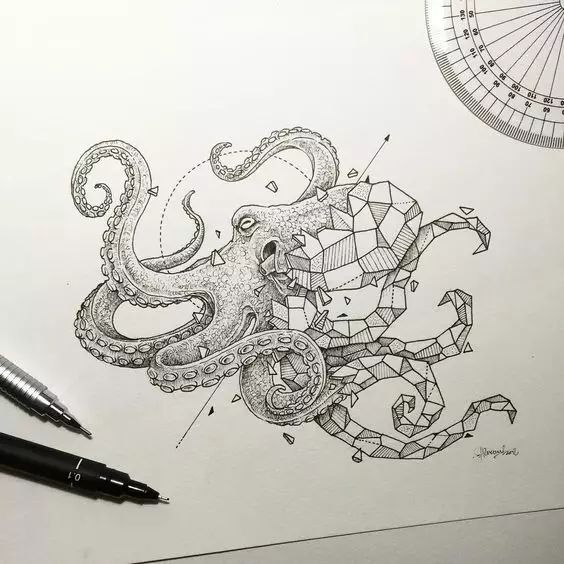 惊叹的动物手绘插画：学霸与艺术的完美融合