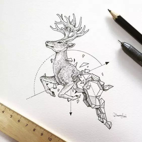 惊叹的动物手绘插画：学霸与艺术的完美融合