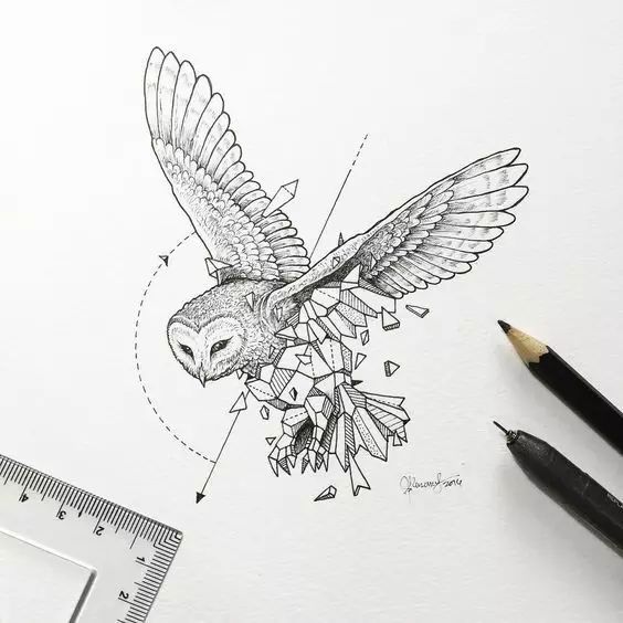 惊叹的动物手绘插画：学霸与艺术的完美融合