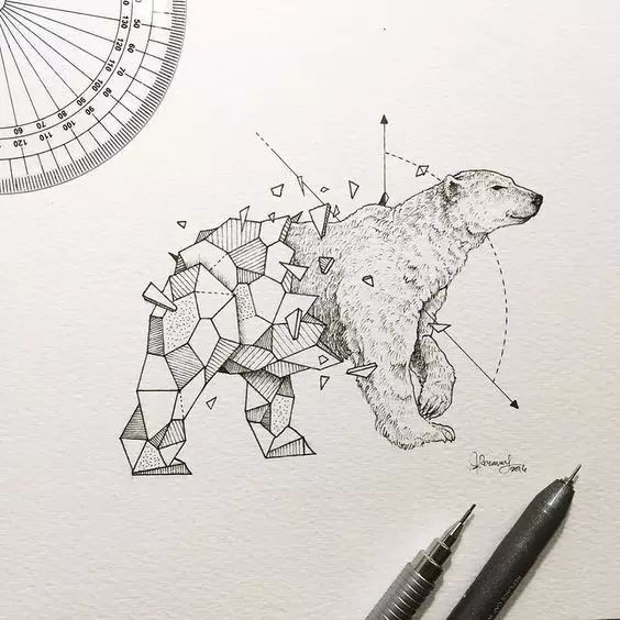 惊叹的动物手绘插画：学霸与艺术的完美融合
