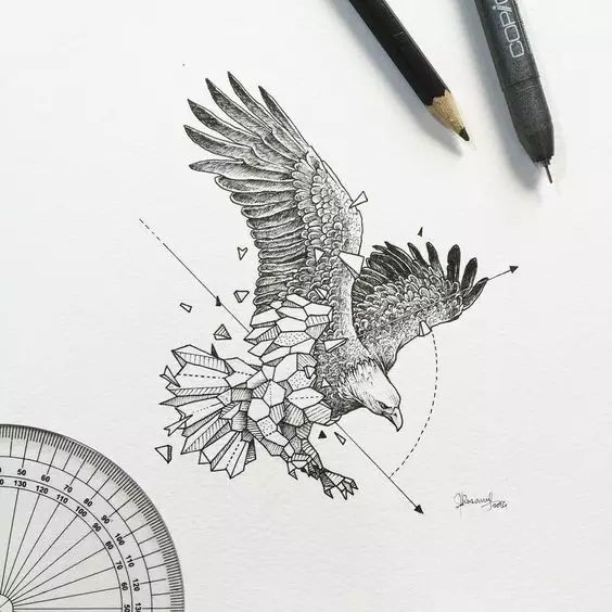 惊叹的动物手绘插画：学霸与艺术的完美融合