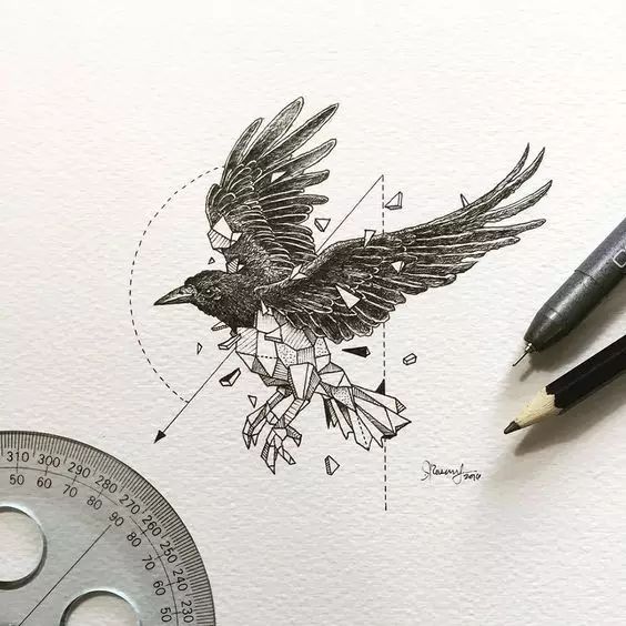 惊叹的动物手绘插画：学霸与艺术的完美融合