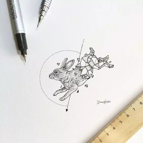 惊叹的动物手绘插画：学霸与艺术的完美融合