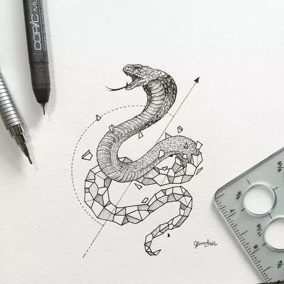 惊叹的动物手绘插画：学霸与艺术的完美融合