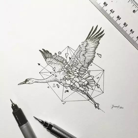惊叹的动物手绘插画：学霸与艺术的完美融合