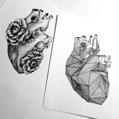 惊叹的动物手绘插画：学霸与艺术的完美融合
