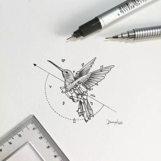 惊叹的动物手绘插画：学霸与艺术的完美融合