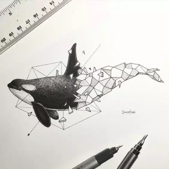 惊叹的动物手绘插画：学霸与艺术的完美融合
