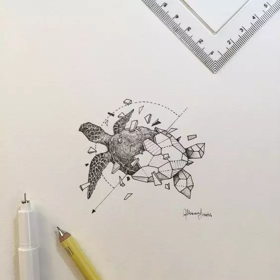 惊叹的动物手绘插画：学霸与艺术的完美融合