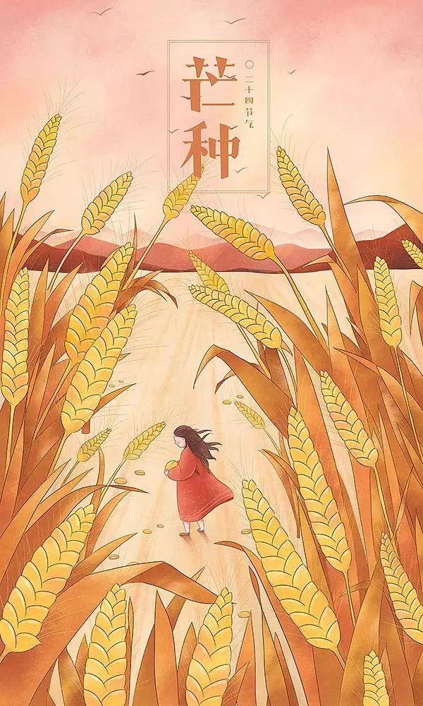 治愈系画风插画：一组二十四节气插画