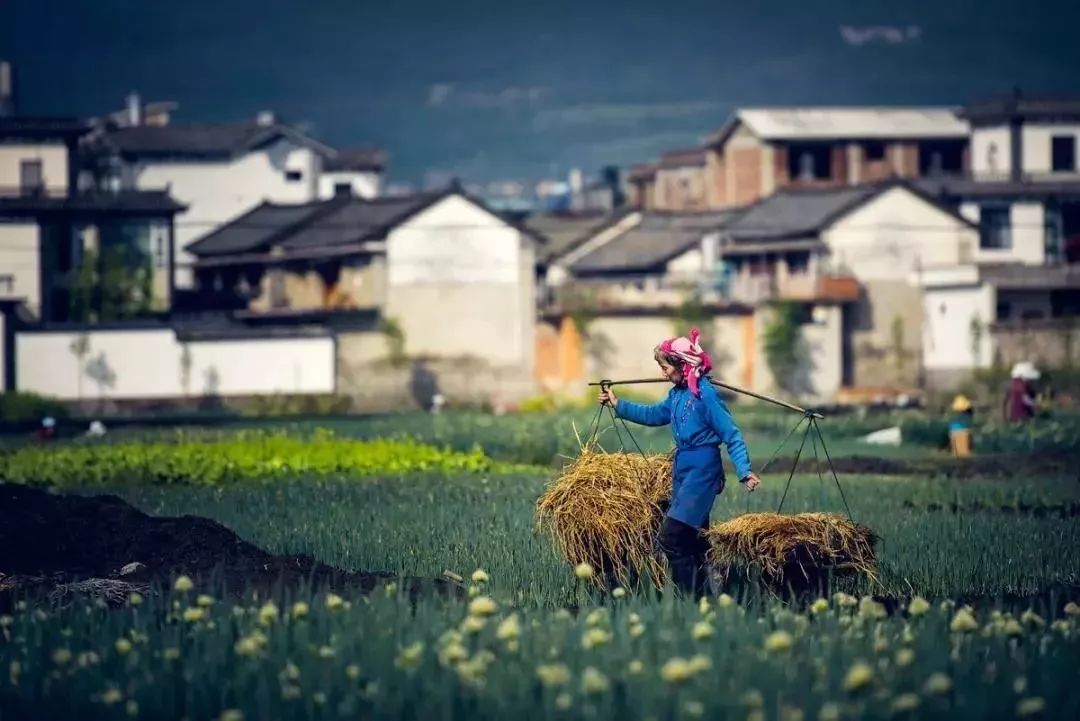 丽江·我们宿约，融入当地的文化生活感染每个人