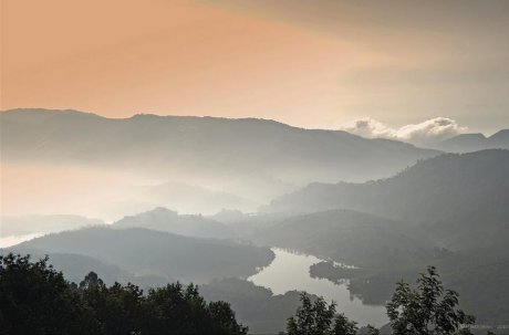 蒙纳茶园景观
