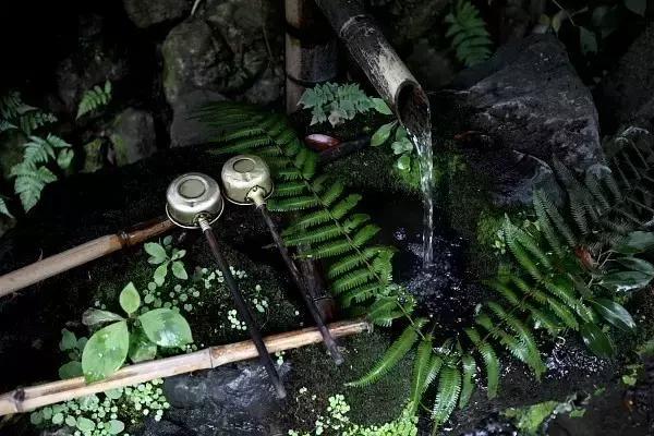 茶人爱茶，爱到深处是一种痴 (1/6)