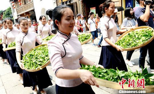 茶帮拜妈祖活动图片