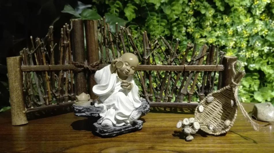 古典茶室美女泡茶品出茶的真谛和情趣 (18/24)