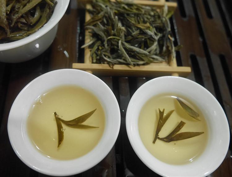 一杯白牡丹白茶图片