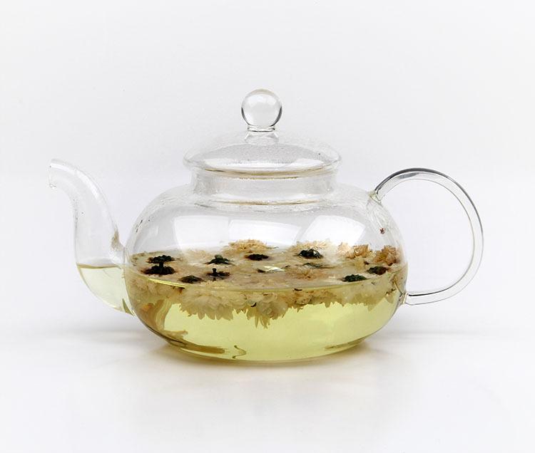 黄山贡菊花草茶图片