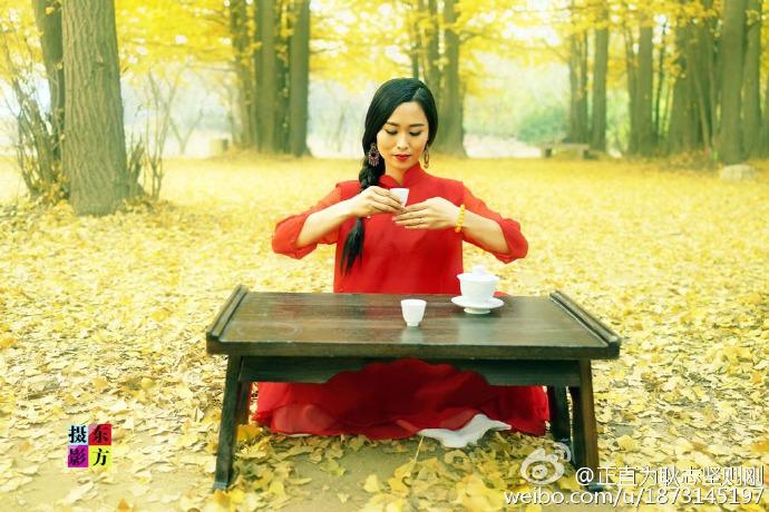 黄金树下美女茶艺表演泡茶 (3/8)
