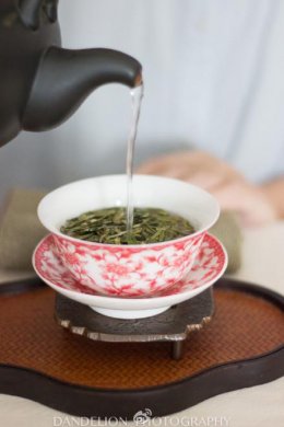 气质比较温柔的人泡出来的茶花