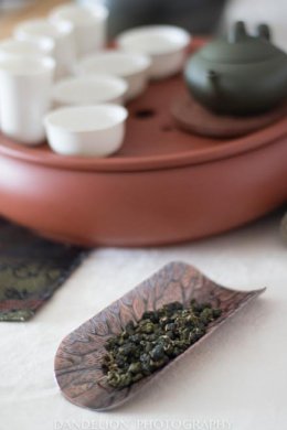 气质比较温柔的人泡出来的茶花