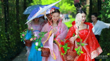 杭州西溪湿地的花仙子茶艺师泡