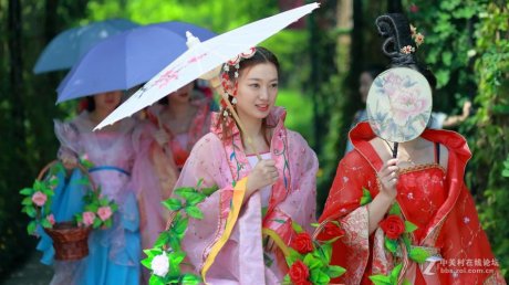 杭州西溪湿地的花仙子茶艺师泡
