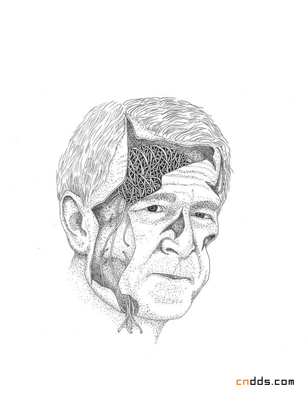 点状线条插画作品