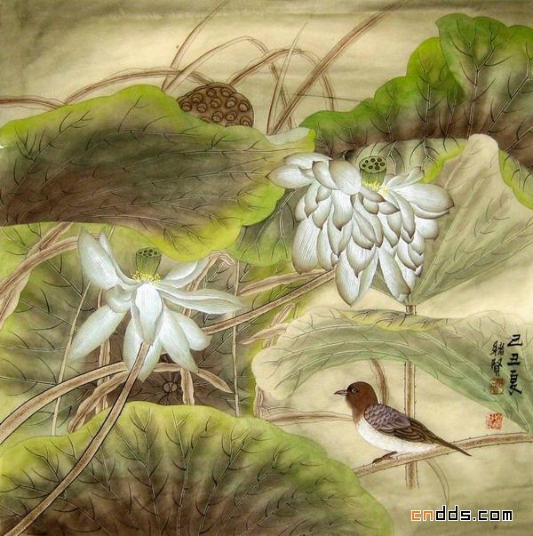 珍藏版国画名家精品花鸟画共赏