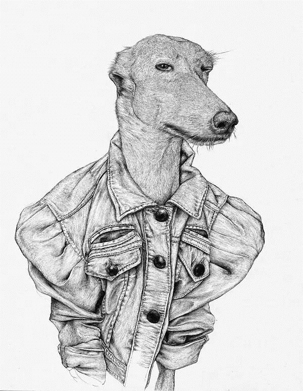 不一样的趣味插画