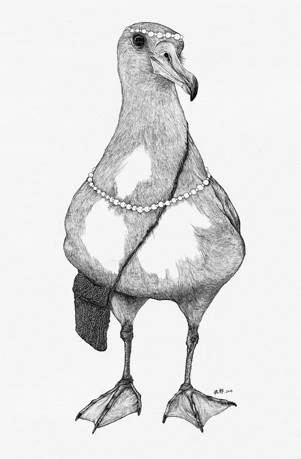 不一样的趣味插画