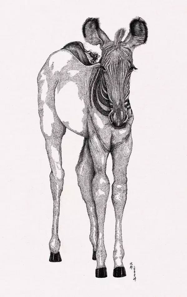 不一样的趣味插画