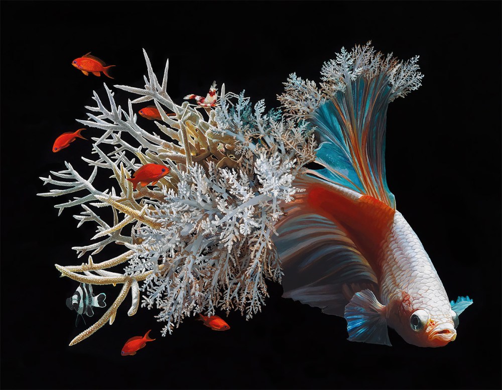 鱼和珊瑚：Lisa Ericson超现实主义绘画作品