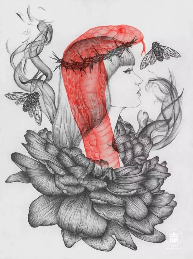 细腻柔和的花鸟虫鱼和美女插画