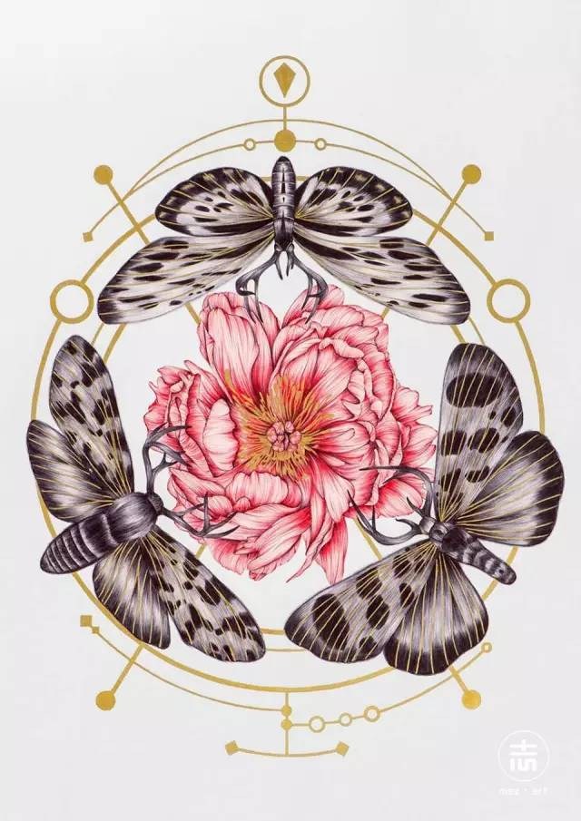 细腻柔和的花鸟虫鱼和美女插画