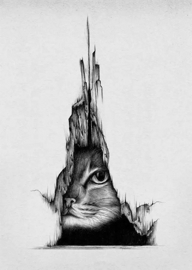 细腻柔和的花鸟虫鱼和美女插画