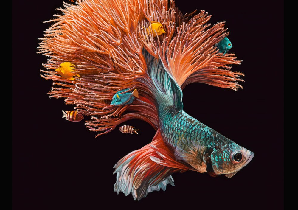 鱼和珊瑚：Lisa Ericson超现实主义绘画作品