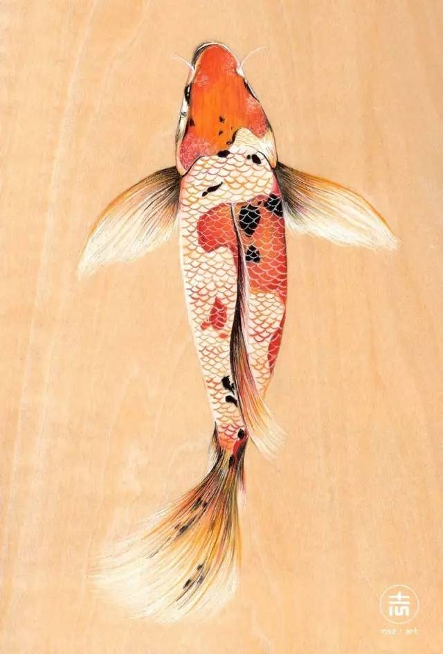 细腻柔和的花鸟虫鱼和美女插画