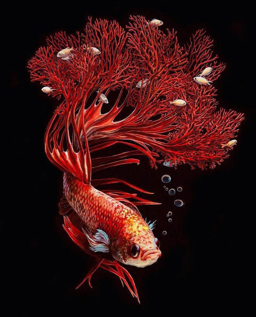 鱼和珊瑚：Lisa Ericson超现实主义绘画作品