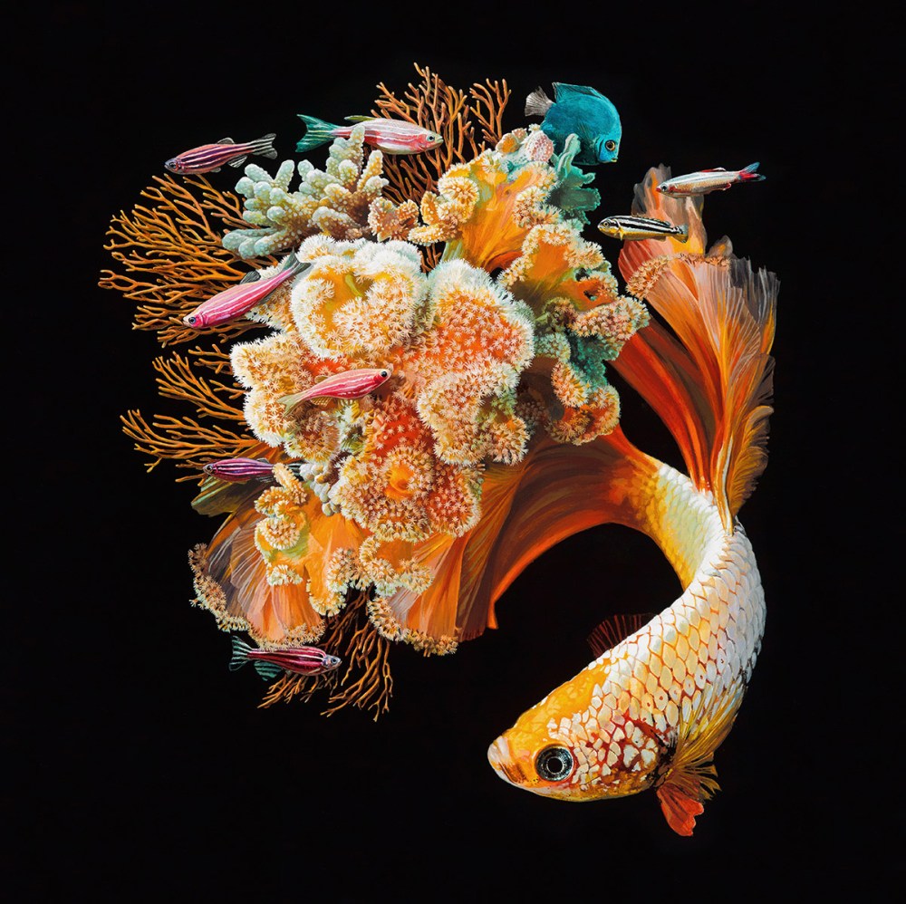 鱼和珊瑚：Lisa Ericson超现实主义绘画作品