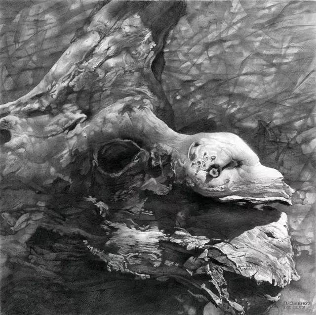 技艺精湛的铅笔画欣赏