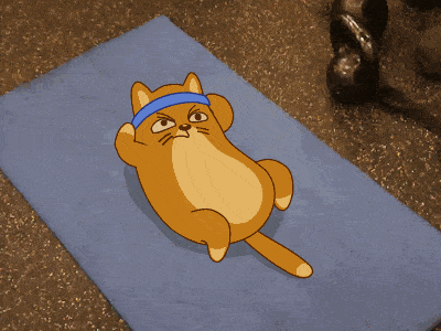努力减肥的肥猫咪