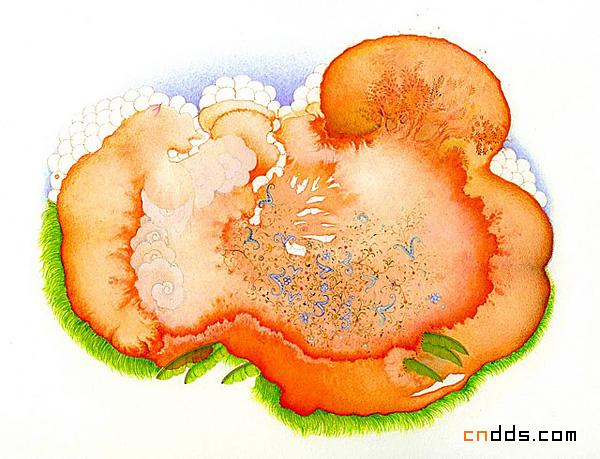 Julie Evans绘画作品