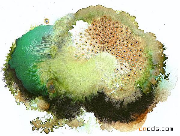 Julie Evans绘画作品
