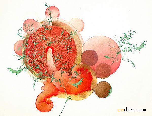 Julie Evans绘画作品