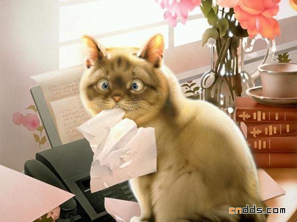 Makoto Muramatsu的萌猫插画集