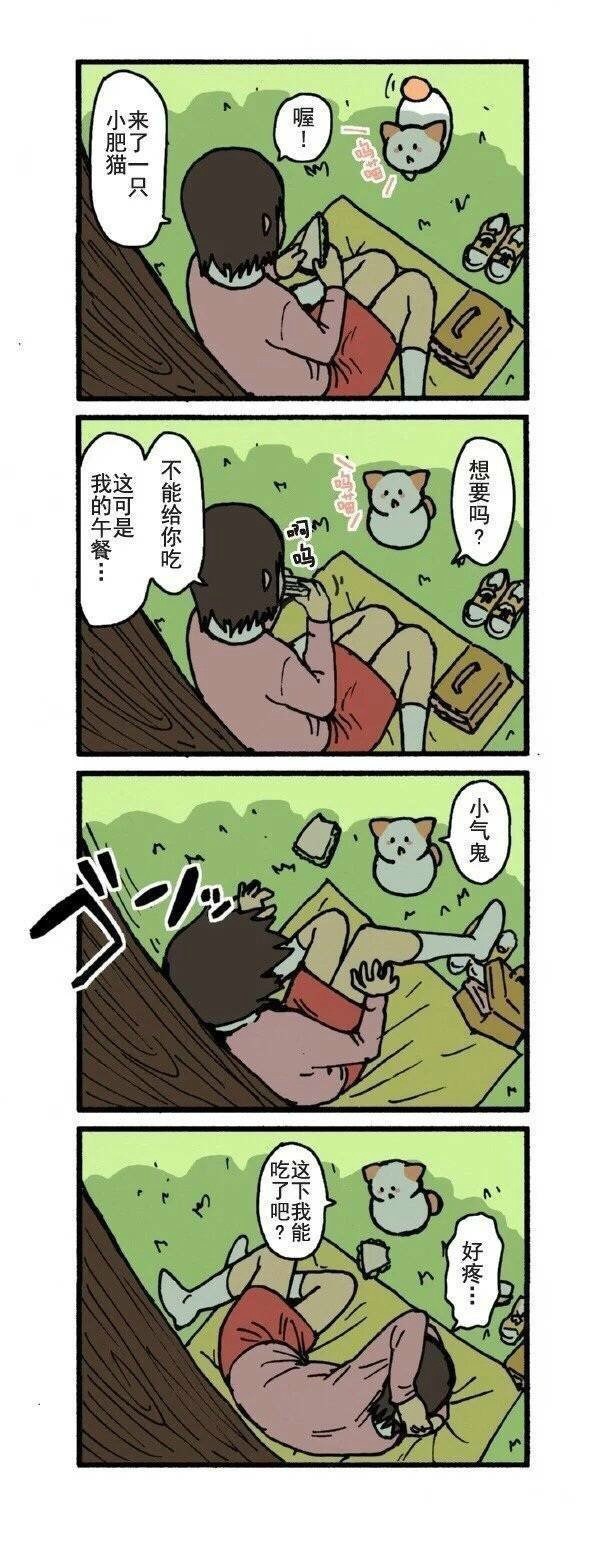 如果喵咪会说话....