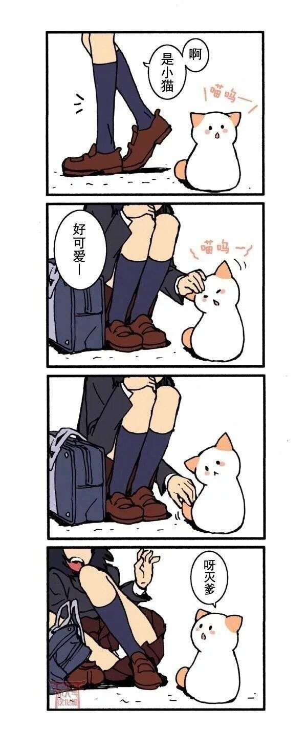 如果喵咪会说话....